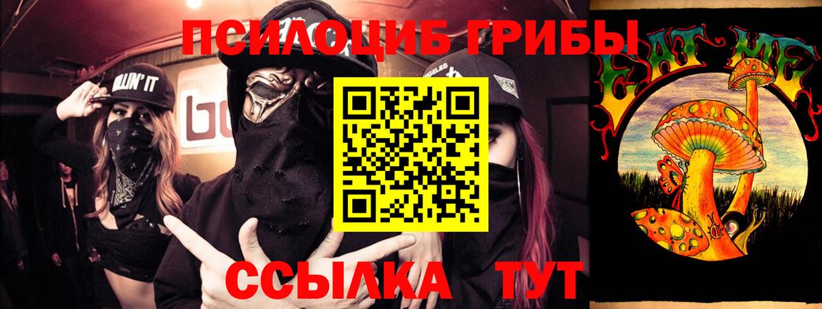 Кыштым  Псилоцибиновые грибы мухоморы  Вход с VPN 